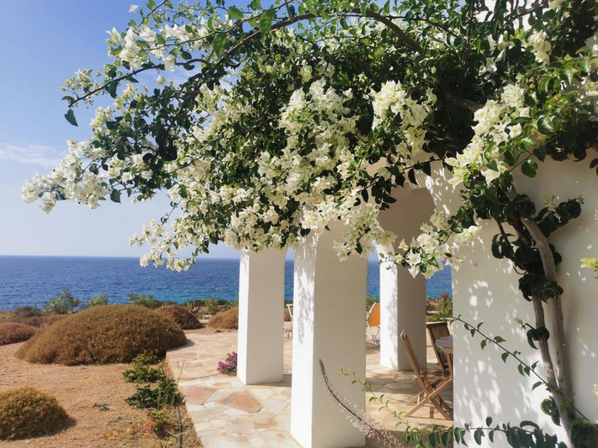 Villa Bravo Karpathos Exteriör bild